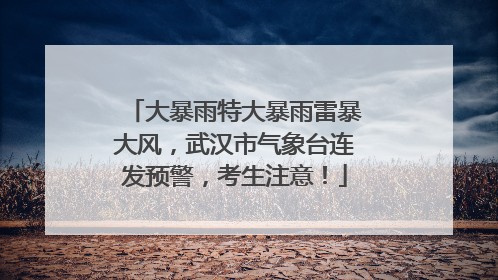 大暴雨特大暴雨雷暴大风，武汉市气象台连发预警，考生注意！